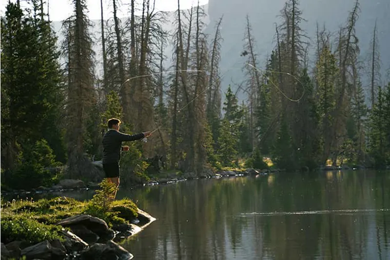 Discover our premium selection of fishing rods, reels, and tackle tailored for every angler's needs.
