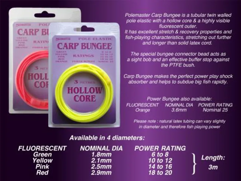 Carp Bungee-4
