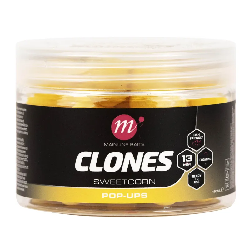 Clones Maple Pop Ups - 13mm-3