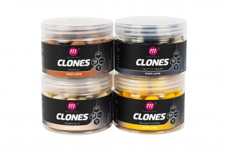 Clones Maple Pop Ups - 13mm