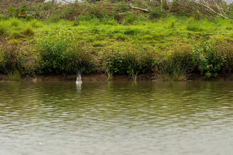 ICS In-Line Dura Flat Method-5