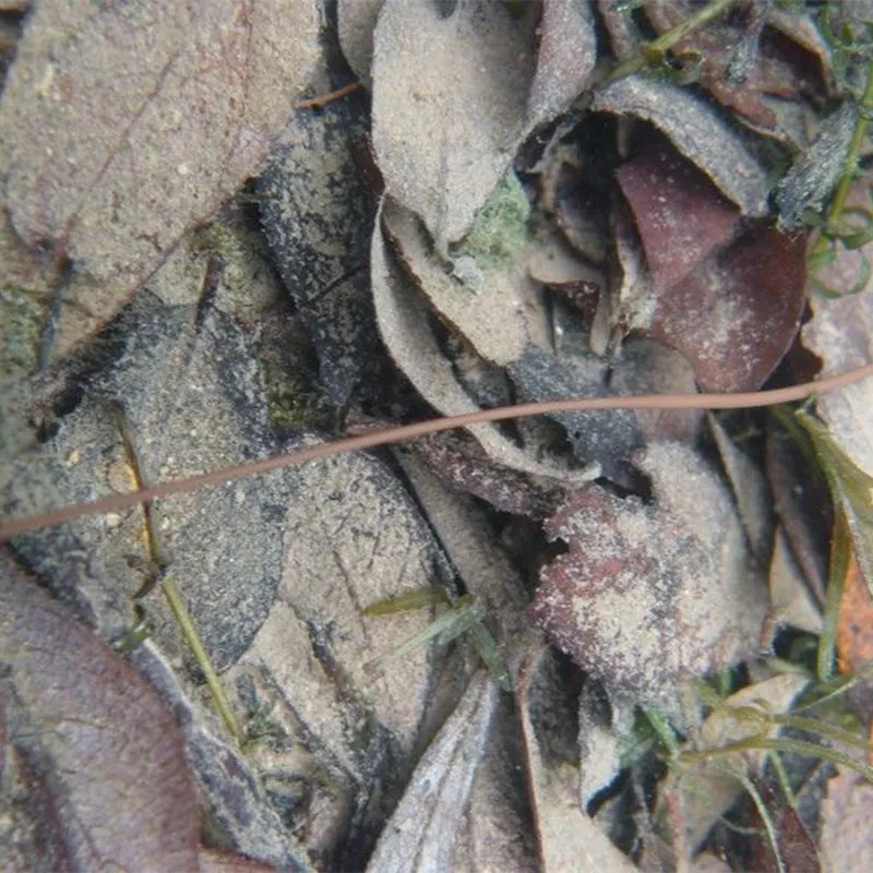 Rig Tube-9