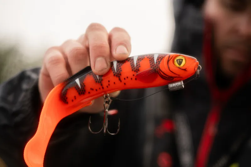 Slick Eel Loaded-1