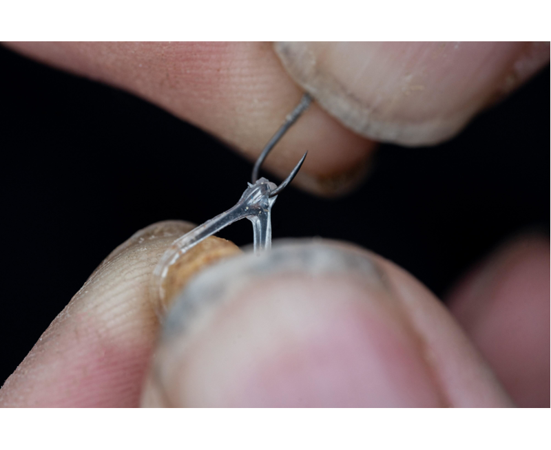 Preston Hookable Bait Bands-4